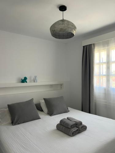 Apartamento Sofá Cama incluido 2 Camas individuales kitchenette Acogedora del hotel La Concha del Mar. Foto 3