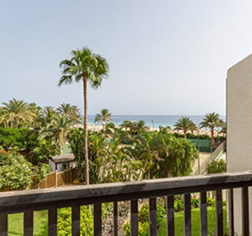 Habitación Individual del hotel Robinson Jandia Playa - Adults Only