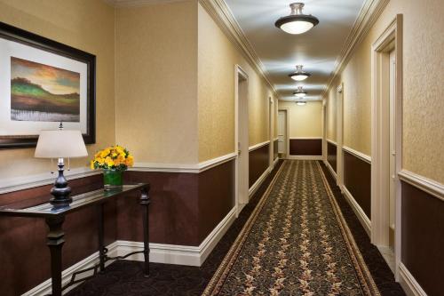 Suite Doble Deluxe - Cama grande del hotel Lucerne. Foto 4