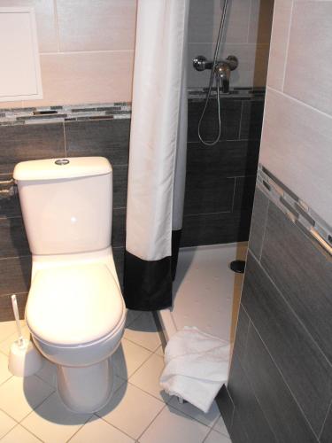 Habitación Doble con ducha del hotel Hôtel De La Perdrix Rouge. Foto 4