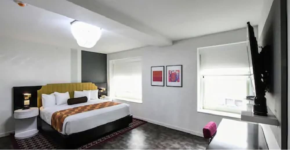 Habitación, 1 cama de matrimonio, accesible para personas con discapacidad, no fumadores del hotel Tryp By Wyndham Newark Downtown