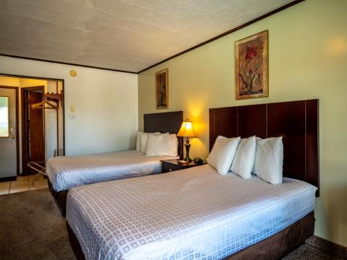 Habitación Doble con vistas a la piscina del hotel Lake 'n Pines. Foto 5