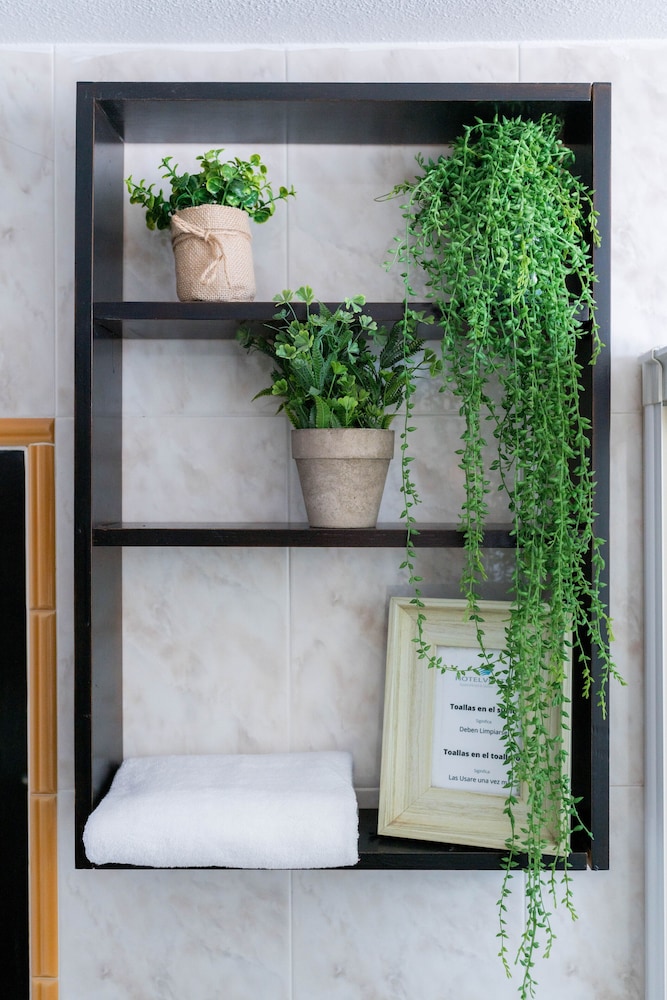 Habitación con 2 camas individuales del hotel Ventus. Foto 19