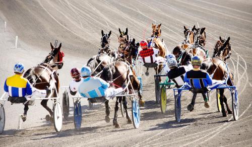Habitación con cama extragrande y vistas a la pista del hotel Saratoga Casino. Foto 3
