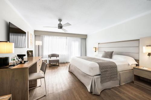 Habitación Deluxe con cama extragrande y vistas al océano del hotel Riu Plaza Miami Beach. Foto 5