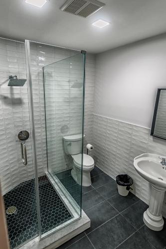 Cama individual en habitación compartida para mujeres con baño privado - 3 camas del hotel Ny Moore. Foto 2