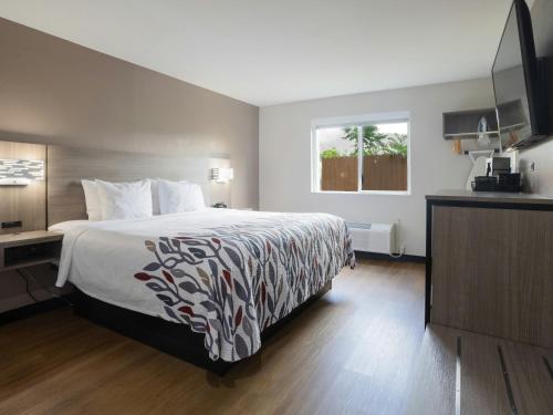 Habitación Superior con cama extragrande - No fumadores del hotel Red Roof Inn Binghamton North. Foto 1