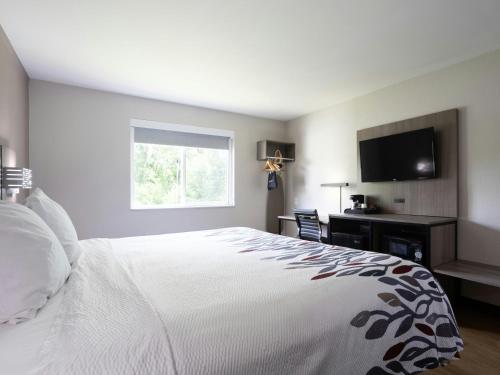 Habitación Superior con cama extragrande - No fumadores del hotel Red Roof Inn Binghamton North. Foto 8