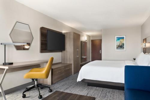 Suite con cama extragrande del hotel Holiday Inn Express & Suites East Greenbush (Albany Skyline). Foto 2