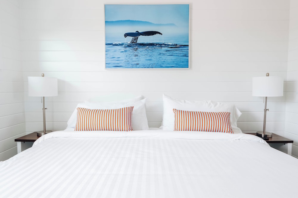 Apartamento, 1 habitación del hotel Driftwood Resort On The Ocean