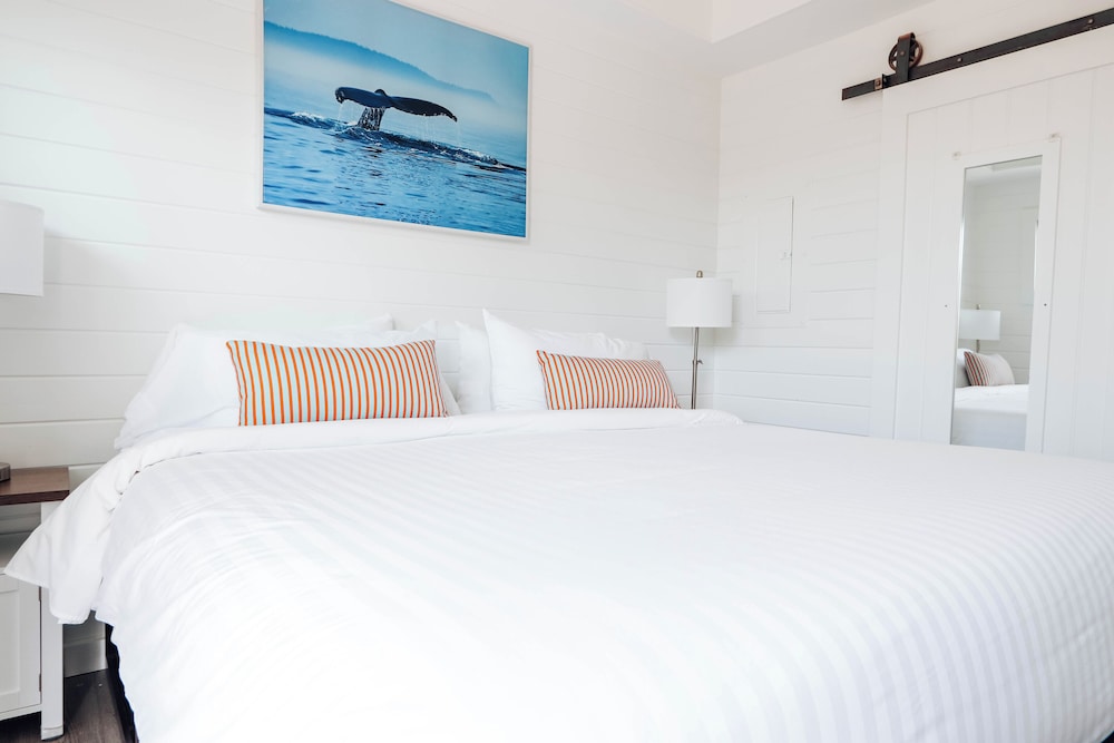 Apartamento, 1 habitación del hotel Driftwood Resort On The Ocean. Foto 1