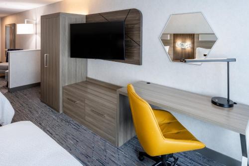 Suite con cama grande y bañera adaptada para personas con movilidad reducida - No fumadores del hotel Holiday Inn Express & Suites Dewitt - Syracuse