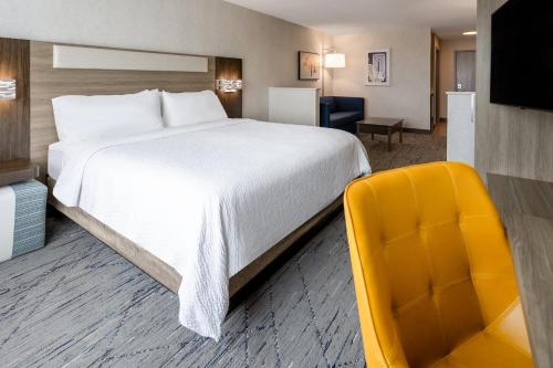 Suite con cama grande - Accesible para personas de movilidad reducida del hotel Holiday Inn Express & Suites Dewitt - Syracuse. Foto 5