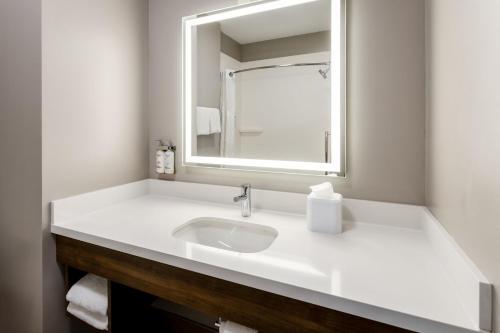 Habitación Estándar con bañera adaptada para personas con discapacidad - Cama extragrande del hotel Holiday Inn Express & Suites Dewitt - Syracuse