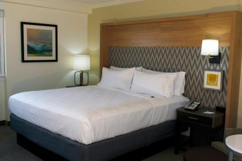Habitación adaptada para personas con movilidad reducida - Cama grande del hotel Holiday Inn Binghamton-downtown Hawley Street. Foto 4