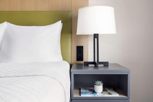 Suite de 1 dormitorio del hotel Country Inn & Suites by Radisson, Big Flats (Elmira), NY. Foto 4