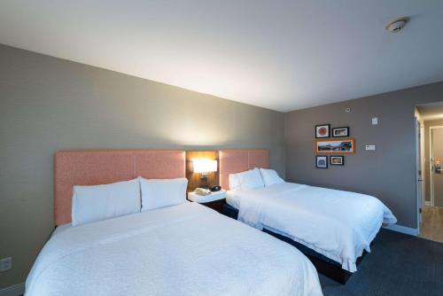 Habitación para no fumadores - 2 camas grandes del hotel Hampton Inn and Suites Jamestown. Foto 2