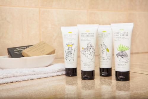 Habitación con sofá cama - Cama grande del hotel 1080 Brooklyn. Foto 5