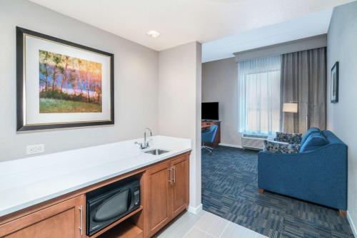 Suite Estudios con sofá cama adaptada para personas con discapacidad auditiva - 1 cama extragrande - No fumadores del hotel Hampton Inn & Suites Newburgh Stewart Airport. Foto 3
