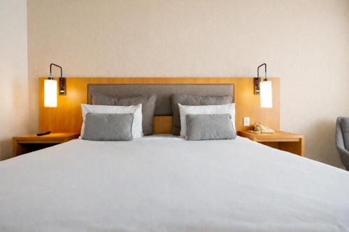 Alojamiento Doble Estándar - 1 cama doble del hotel Mercure Campinas