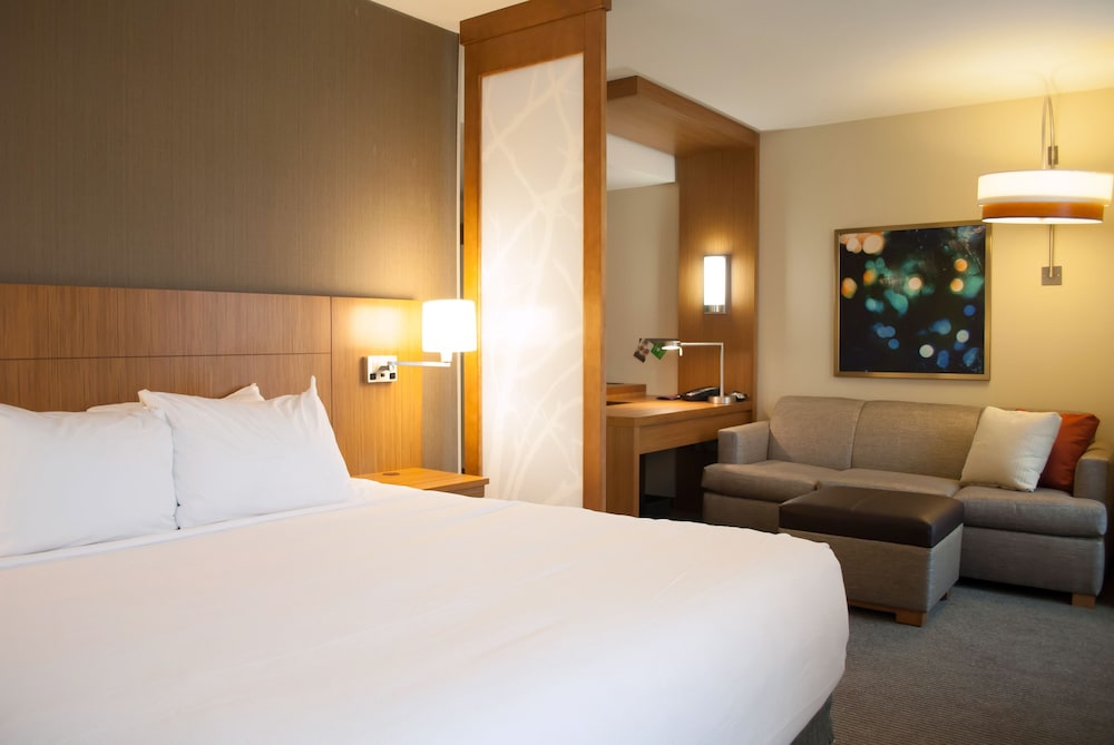 Estándar King (más sofá - cama) del hotel Hyatt Place Blacksburg / University