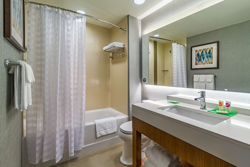 Estándar King (más sofá - cama) del hotel Hyatt Place Blacksburg / University. Foto 4