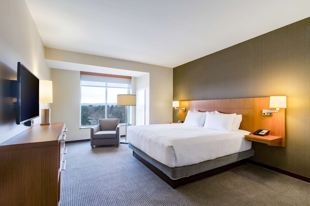 Especial King (más sofá - cama) del hotel Hyatt Place Blacksburg / University. Foto 2