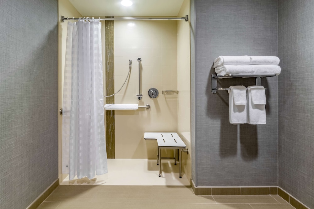 Especial King (más sofá - cama) del hotel Hyatt Place Blacksburg / University. Foto 6