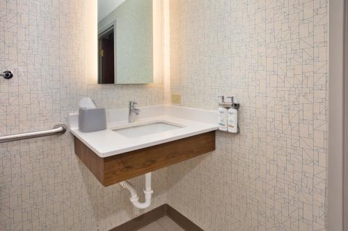 Suite con ducha a ras de suelo adaptada para personas con discapacidad - No fumadores del hotel Holiday Inn Express & Suites Rochester Webster. Foto 1