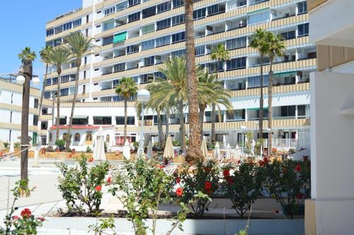 Apartamento de 1 dormitorio del hotel Koka. Foto 14