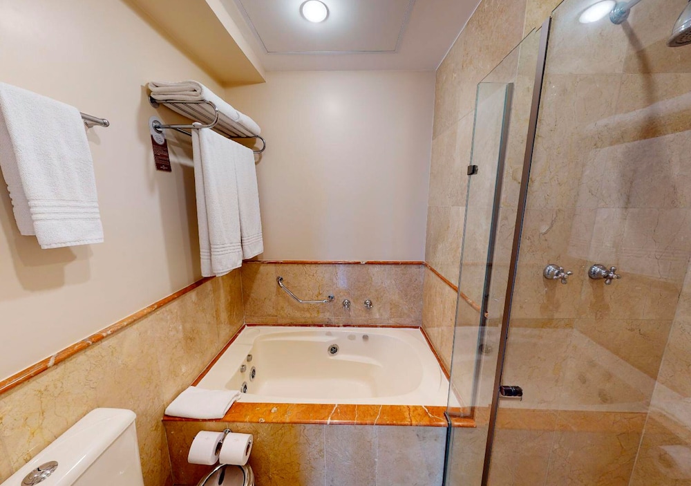 Suite (Master) del hotel Gran Estanplaza Berrini. Foto 3