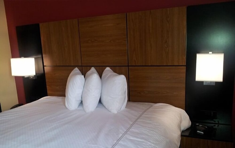 Habitación Individual del hotel Bliss