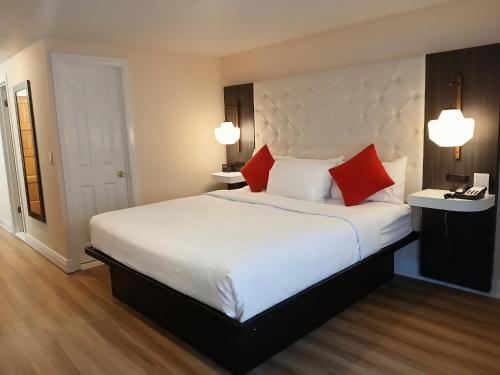 Suite con cama extragrande, bañera de hidromasaje y sofá cama del hotel Tiki Resort - Lake George