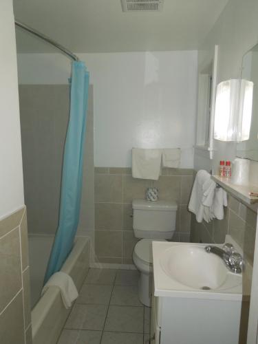 Habitación estándar con cama King del hotel Budget Inn Watkins Glen. Foto 3