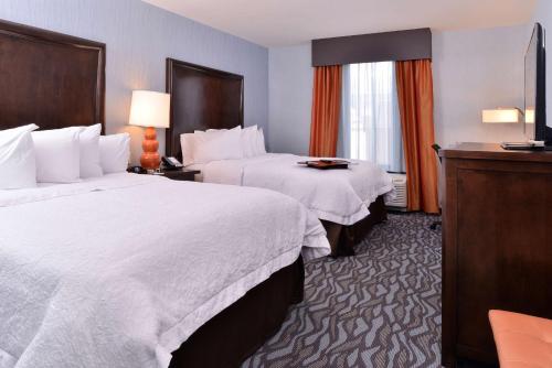 Habitación adaptada para personas con discapacidad auditiva - No fumadores - 2 camas dobles del hotel Hampton Inn Rome. Foto 1