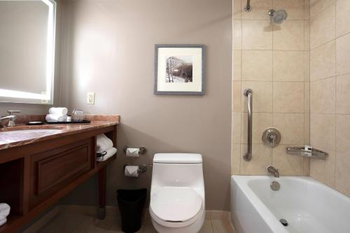 Habitación King con ducha accesible para silla de ruedas - Accesible para movilidad y audición del hotel Sheraton Niagara Falls. Foto 4