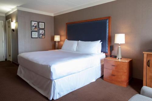 Habitación King con ducha accesible para silla de ruedas - Accesible para movilidad y audición del hotel Sheraton Niagara Falls. Foto 1