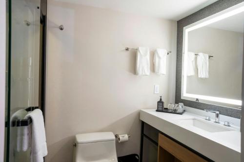 Habitación King con ducha accesible para silla de ruedas - Accesible para movilidad y audición del hotel Sheraton Niagara Falls. Foto 1