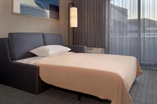 Habitación adaptada para personas con movilidad reducida y discapacidad auditiva con ducha accesible en silla de ruedas y sofá cama - Cama extragrande del hotel Courtyard By Marriott Tarrytown Westchester County. Foto 1