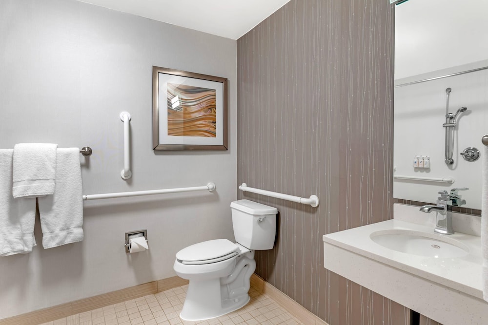 Habitación, 1 cama de matrimonio grande, ducha adaptada, no fumadores del hotel Sonesta Select Minneapolis Eden Prairie. Foto 4