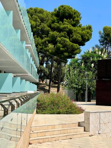 Apartamento Superior de 1 dormitorio (2 adultos + 2 niños de hasta 10 años) del hotel Comtat Sant Jordi. Foto 9