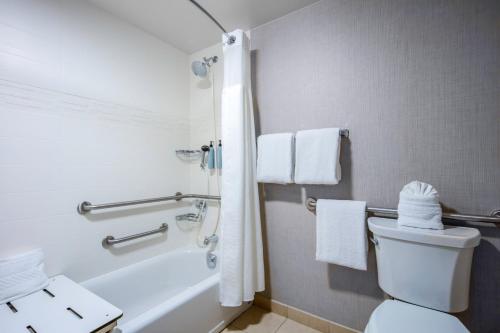 Estudio con cama extragrande y sofá cama - Adaptado para personas con discapacidad auditiva del hotel Residence Inn By Marriott Yonkers Westchester County. Foto 4