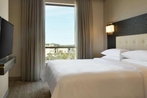 Suite adaptada para personas con movilidad reducida con cama grande y ducha a ras de suelo del hotel Embassy Suites By Hilton Syracuse Destiny Usa. Foto 2
