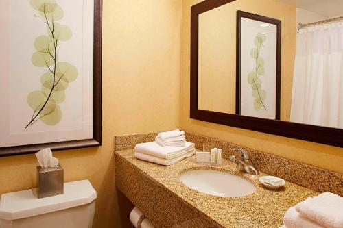 Suite Executive King del hotel Courtyard By Marriott Ithaca Airport/university. Foto 3