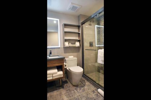 Habitación adaptada para personas con movilidad reducida - 1 cama grande - No fumadores del hotel Insignia Brooklyn, Ascend Collection. Foto 7