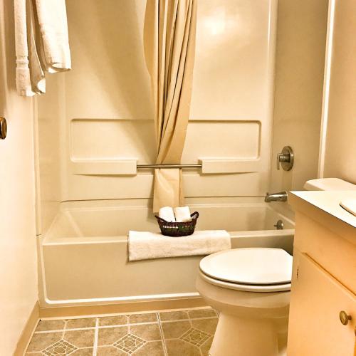 Estudio Doble - Fumadores del hotel Adirondack Efficiencies. Foto 1