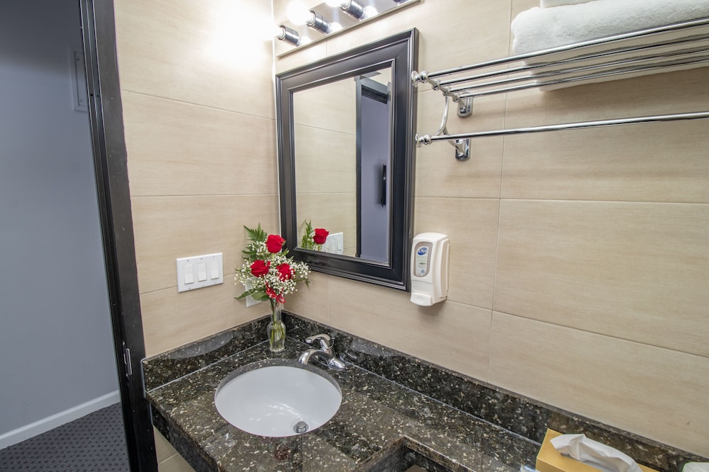 Habitación, 1 cama de matrimonio grande del hotel Canal Loft & Hotel. Foto 3