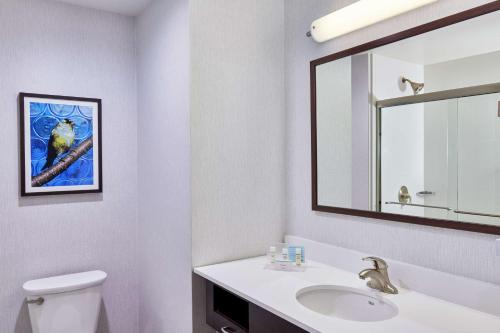 Suite Estudio con cama extragrande - Adaptada para personas con discapacidad auditiva/No fumadores del hotel Hampton Inn & Suites Teaneck/glenpointe. Foto 2