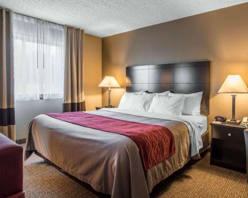 Habitación con cama extragrande adaptada para persona de movilidad reducida - No fumadores del hotel Comfort Inn Saugerties