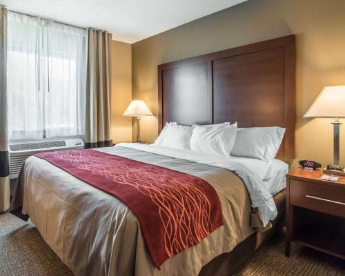 Habitación con cama extragrande adaptada para persona de movilidad reducida - No fumadores del hotel Comfort Inn Saugerties. Foto 7